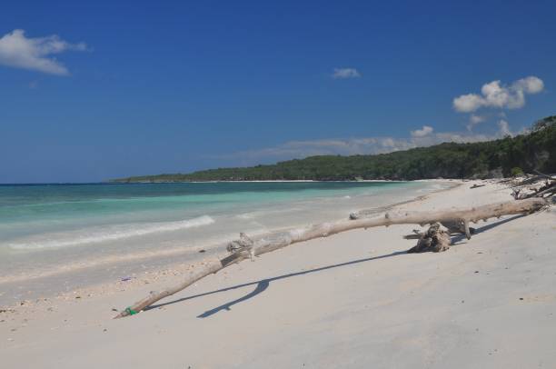 istock beautiful beach in Bira, Sulawesi 1139217966