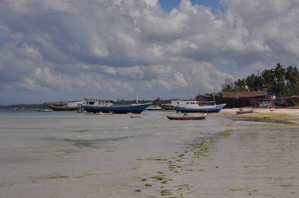 istock Bira beach, Sulawesi 1139218576