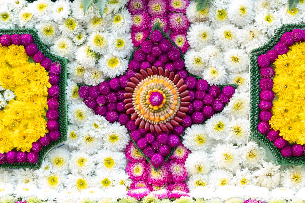 istock intricate patterns of flowers and seeds on floats 1139218783