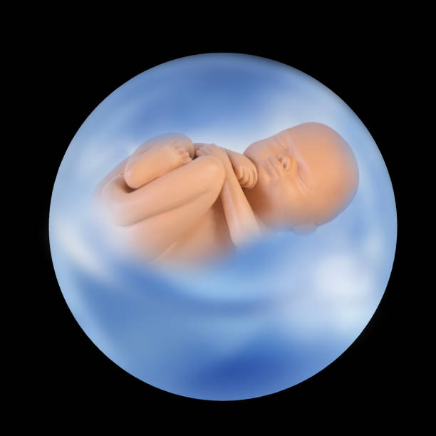 istock Newborn Baby 1139220592