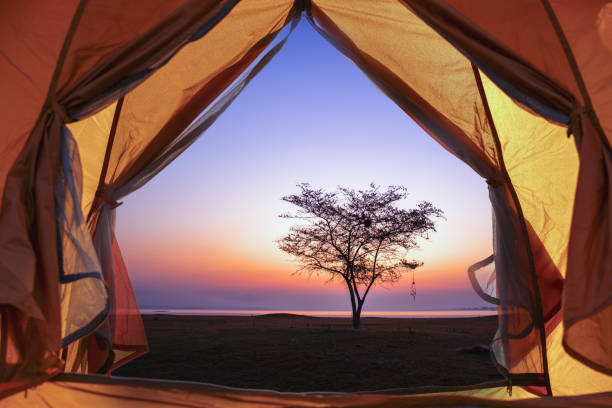 Travellers a rest on lake and spread the camping shore under tree on quiet water surface and sunlight sky background.Beautiful landscape morning sunrise over the lake.Tourism and camping concept.