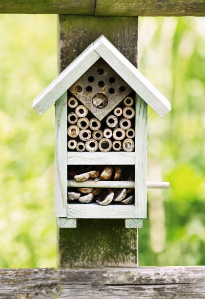 istock Insect hotel on a wooden post 1139228804