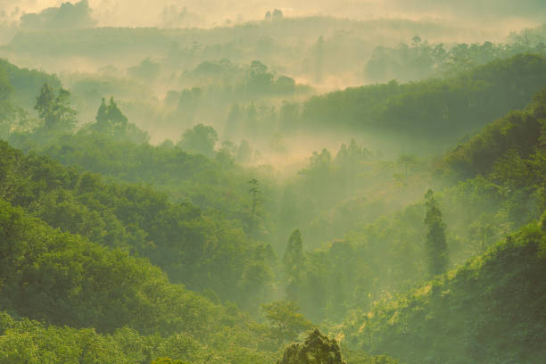 istock Rays of the sun breaking through the fog 1139229838
