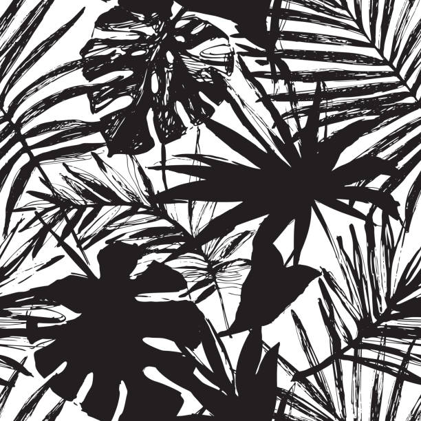 illustrazioni stock, clip art, cartoni animati e icone di tendenza di illustrazione tropica vettoriale nei colori bianco e nero - palm leaf frond leaf backgrounds