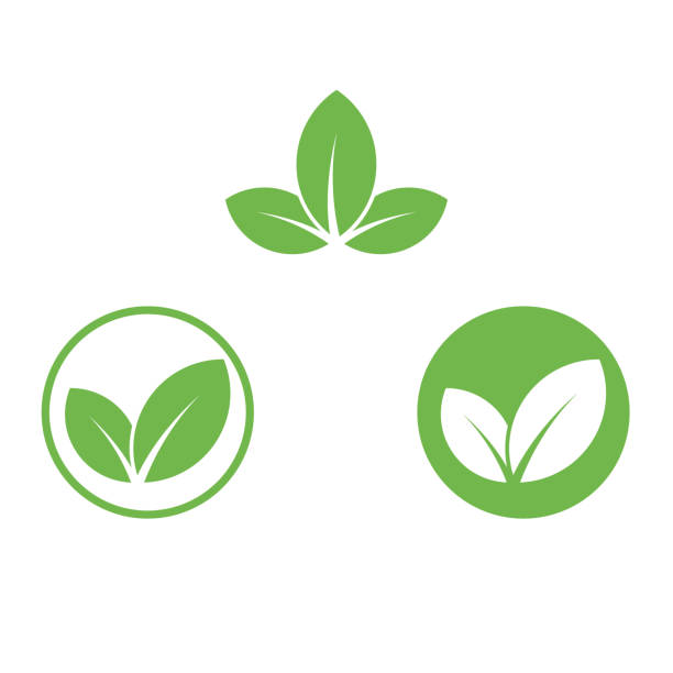 vegan simge yeşil yaprak etiket vegan veya vejetaryen gıda paketi tasarımı için şablon. vejetaryen biyolojik beslenme ve sağlıklı diyet veya vegan restoran menü sembolleri için izole yeşil yaprak simgesi - vejeteryan yemekleri stock illustrations