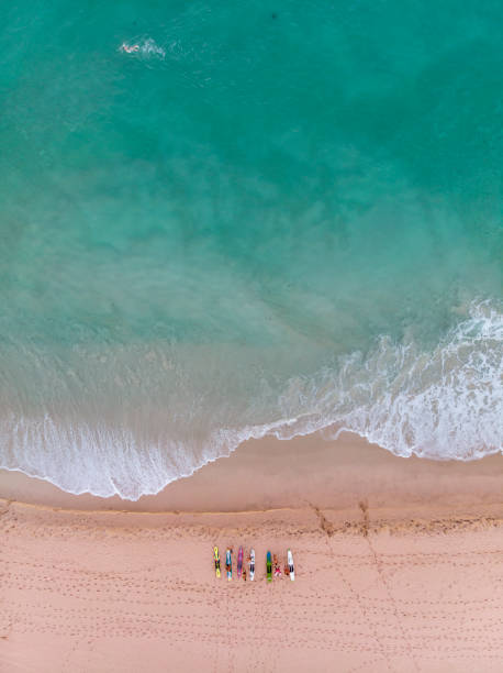 istock City Beach, Perth, Western Australia. 1139237049