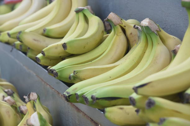 istock A fruit and vegetable stall in the market 1139238379