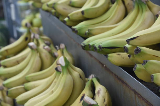 istock A fruit and vegetable stall in the market 1139238384
