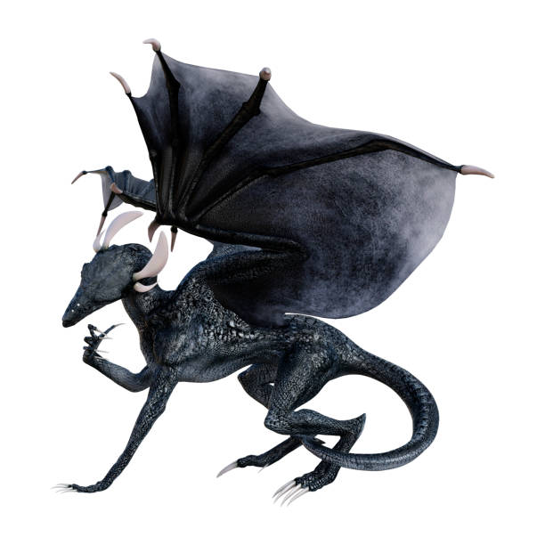 istock 3D illustration black fantasy dragon on white 1139244090