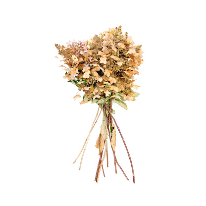 Dried bouquet isolated on white background. Vintage concept, natural wilted bouquet