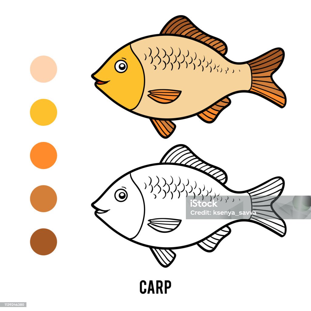 Coloring book, Carp Coloring book for children, Carp Fish stock vector
