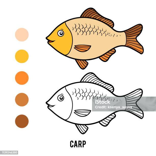 Coloring Book Carp Stock Illustration - Download Image Now - Fish, Animal, Aquarium