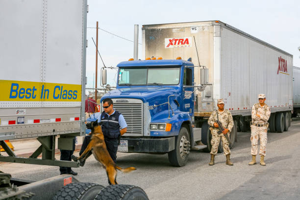 un'unità k9 della polizia di frontiera messicana controlla i camion in attesa di attraversare il confine tra stati uniti e messico a mexicali, in baja california - department of homeland security foto e immagini stock