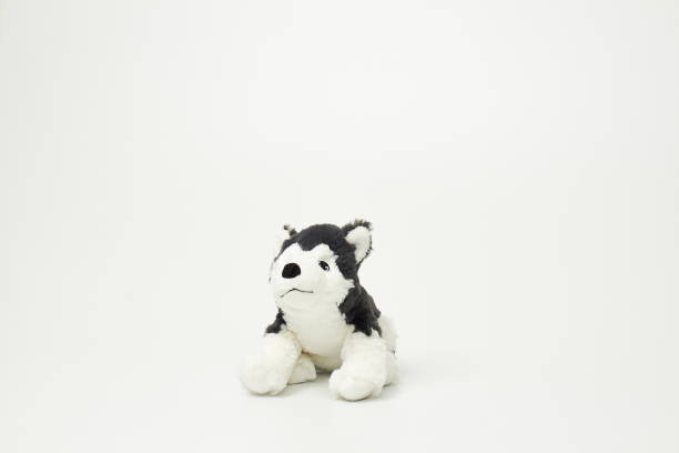 istock Cute dog doll isolated on white background. (with free space for text) 1139247678