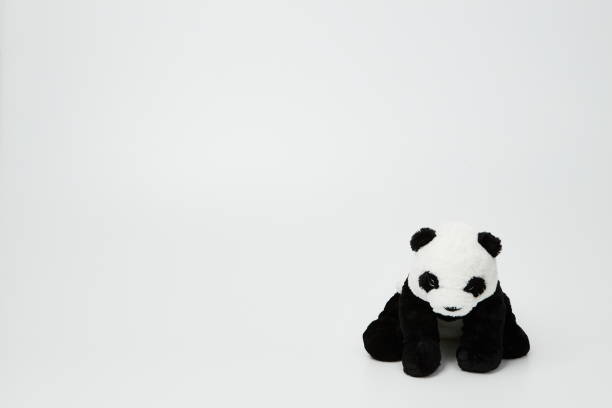 istock Cute panda doll isolated on white background. (with free space for text) 1139247695