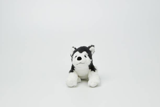 istock Cute dog doll isolated on white background. (with free space for text) 1139247720