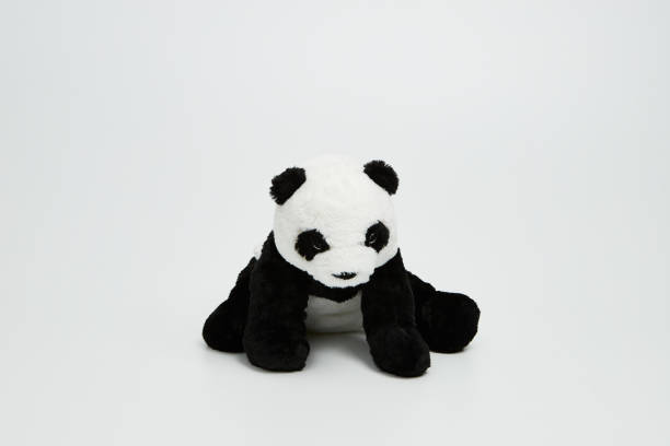 istock Cute panda doll isolated on white background. (with free space for text) 1139248268