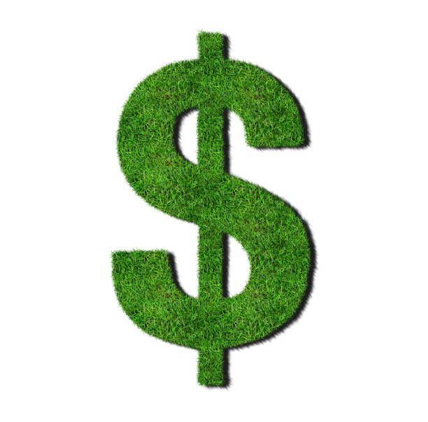 istock A dollar sign in lush green grass on a white background 1139248351