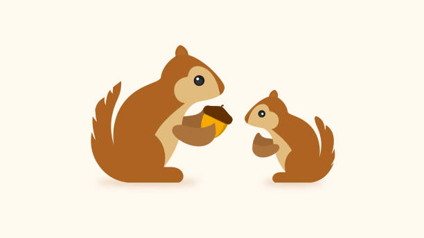 eichhörnchen mit acorn-ikone - eichhörnchen stock-grafiken, -clipart, -cartoons und -symbole