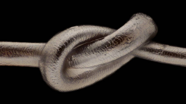 istock Extreme magnification - Human hair at microscope, 50x magnification 1139252541