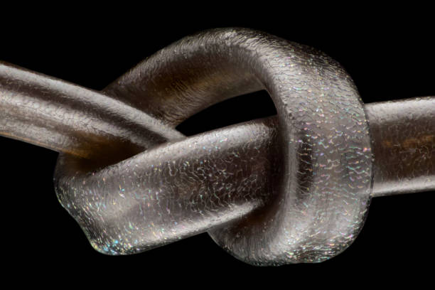 istock Extreme magnification - Human hair at microscope, 50x magnification 1139252576
