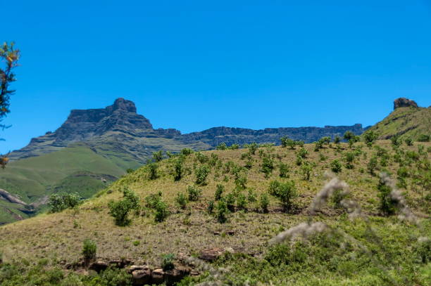 istock Drakensberg mountain 1139252825
