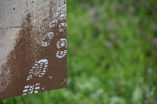 istock Traces of mud on a plank in nature 1139253905
