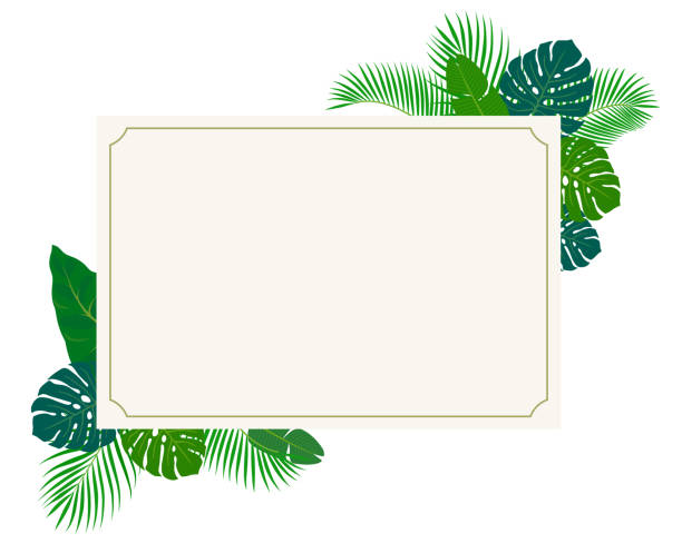 tropenpflanzen und postkarten - hawaii islands big island postcard summer stock-grafiken, -clipart, -cartoons und -symbole