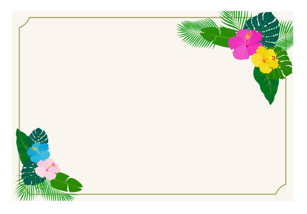 tropische blumen und pflanzen postkartenschablone - hawaii islands big island postcard summer stock-grafiken, -clipart, -cartoons und -symbole