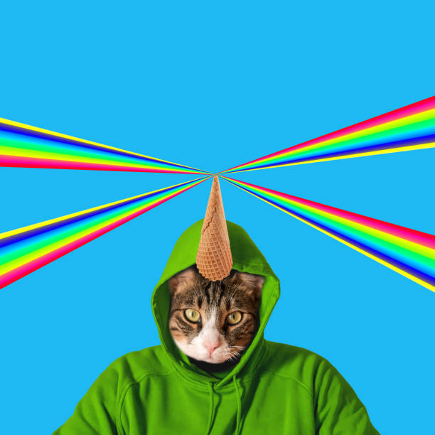 istock Cat head with rainbow, collage pop art concept design. Minimal summer background. 1139257410
