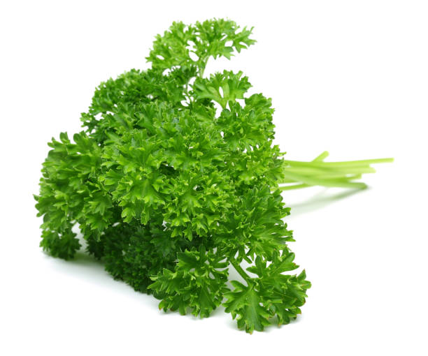 istock Fresh green parsley isolated on white 1139258734