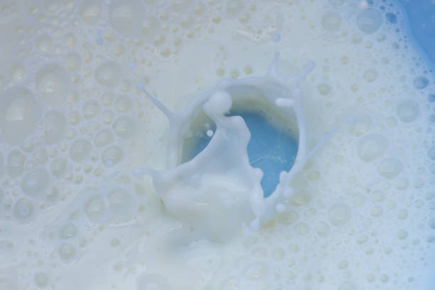 istock Fresh cool white milk splashing onto a blue background creating a beautiful design and liquid splash. 1139262894