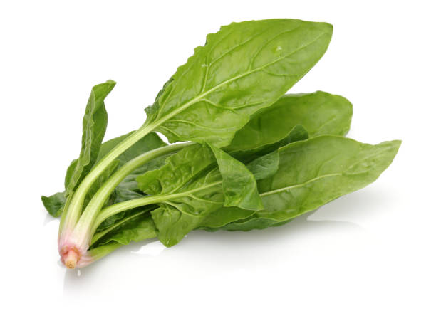 istock Bunch of fresh spinach isolated on white 1139264448