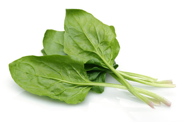 istock Bunch of fresh spinach isolated on white 1139264537
