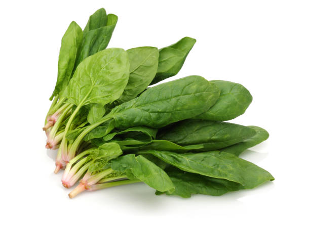 istock Bunch of fresh spinach isolated on white 1139264539