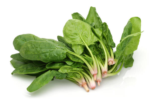 istock Bunch of fresh spinach isolated on white 1139264570