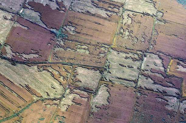 istock Aerial abstract photo of fields 1139265334