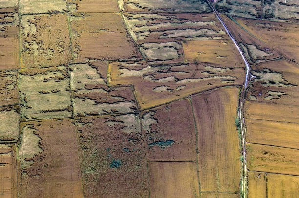 istock Aerial abstract photo of fields 1139265378