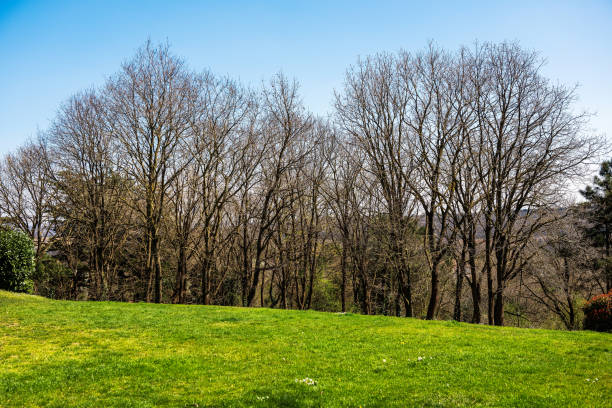 istock Nature landscape in the springtime 1139265623
