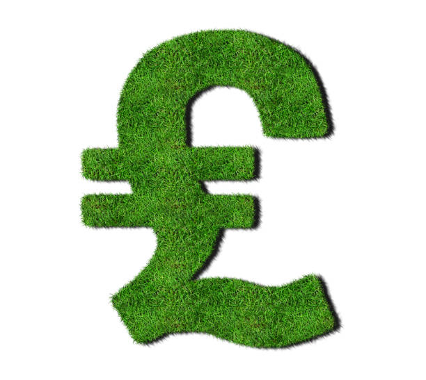istock A pound sign in lush green grass on a white background 1139266502
