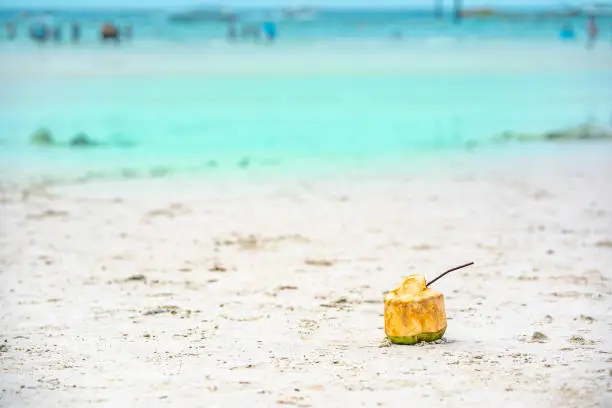 Photo of Coconut for drinking on sand beach and green sea on summer holidays