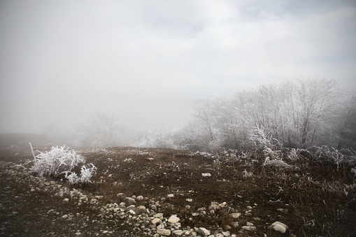 Landscape with beautiful fog in forest on hill or Trail through a mysterious winter forest with autumn leaves on the ground. Road through a winter forest. Magical atmosphere. Azerbaijan nature