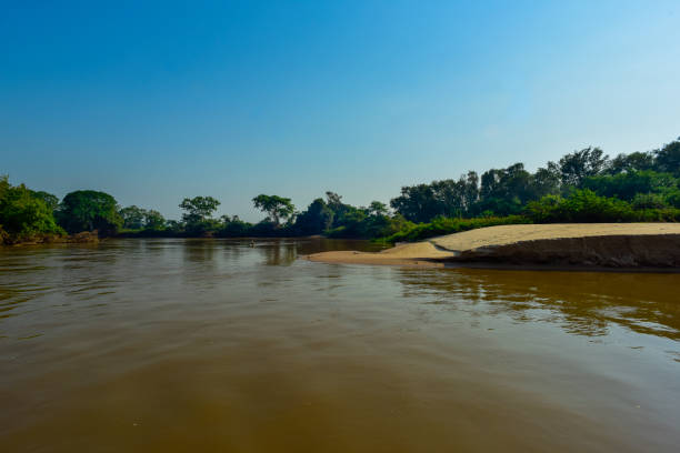 istock landscape of river and jungle 1139273752