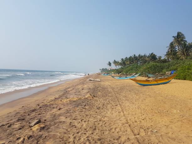 istock Sandy beach with palm trees and ocean with waves, beach, Sri Lanka 1139275034
