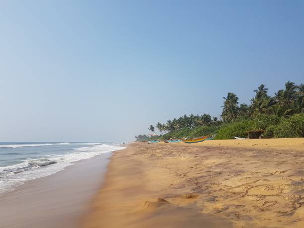 istock Sandy beach with palm trees and ocean with waves, beach, Sri Lanka 1139275046