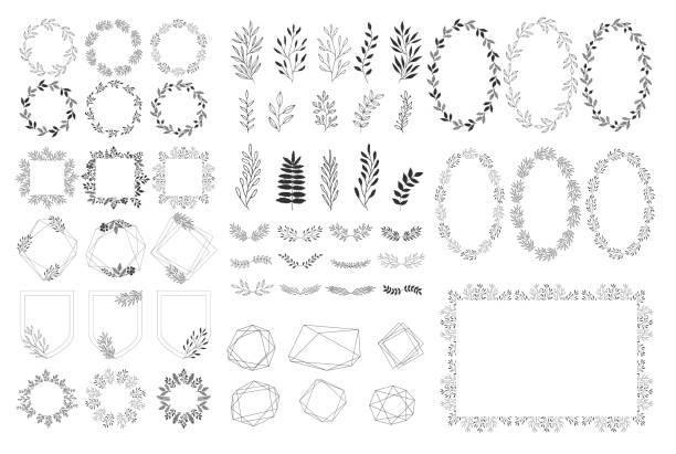 ilustrações de stock, clip art, desenhos animados e ícones de set of summer decorative elements. vector herbs, frames, wreaths. isolated. hand drawn design. - flower ornament