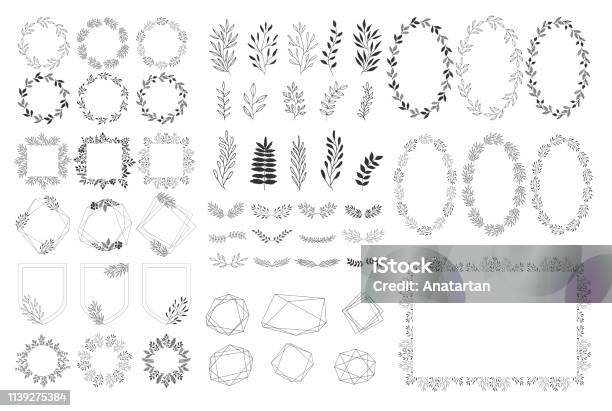 Set Of Summer Decorative Elements Vector Herbs Frames Wreaths Isolated Hand Drawn Design Stock Illustration - Download Image Now