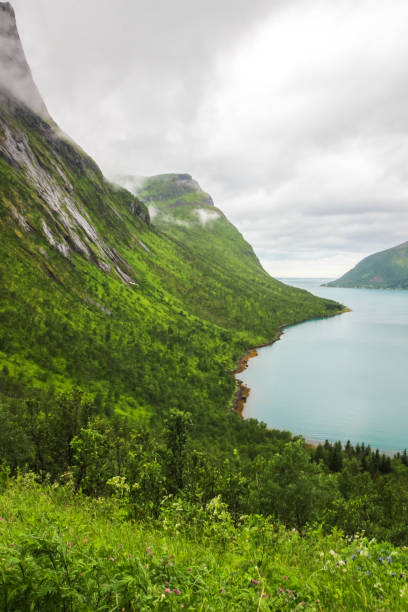 istock Senja island in Norway 1139276707