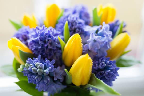 Yellow and lilac flowers. Spring. Summer close-up