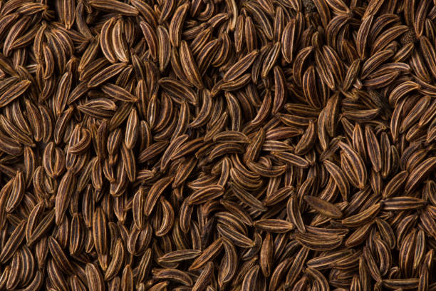 Cumin, fennel spice as background texture close-up. Macro Cumin, fennel spice as background texture close-up. Macro meridian mississippi stock pictures, royalty-free photos & images